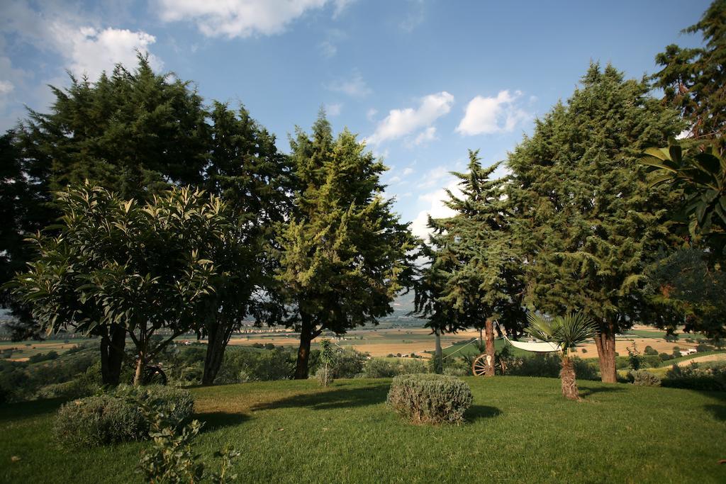 Agriturismo Il Girasole Montefalco Room photo
